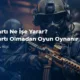 Ekran Kartı Ne İşe Yarar Ekran Kartı Olmadan Oyun Oynanır mı