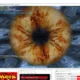 furmark by geeks3d jpeg